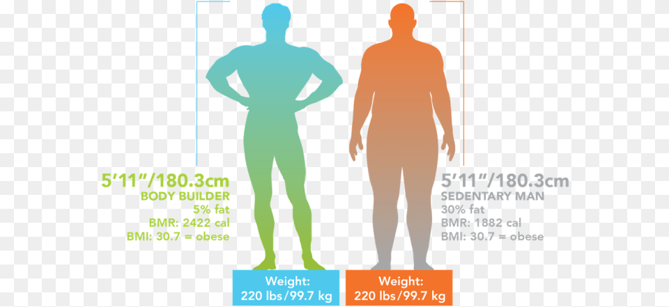Bmi Bci Body Composition Fat, Chart, Plot, Adult, Male Free Transparent Png