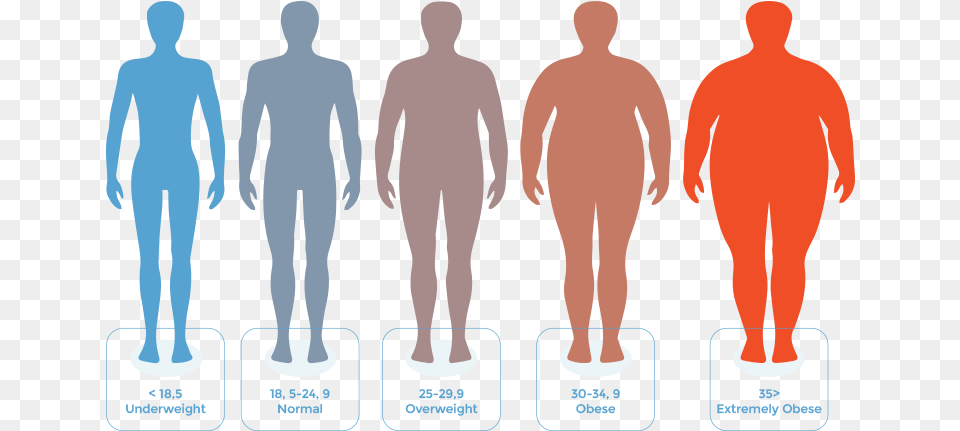 Bmi Chart Body Mass Index To Weight Loss Does 25 Bmi Look Like, Plot, Adult, Person, Man Png