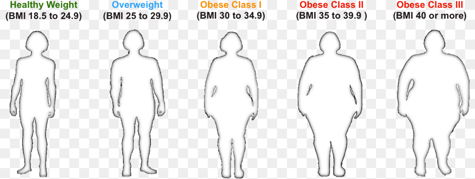 Bmi For Healthy To Obese Individuals Body Mass Index, Silhouette, Adult, Male, Man Free Png