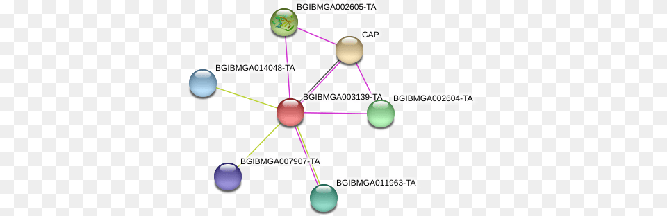 Bmo, Network, Diagram, Uml Diagram Png Image
