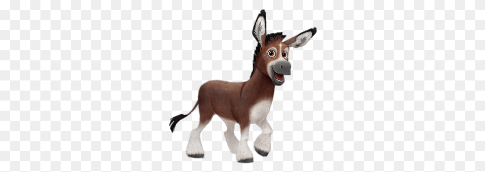 Bo The Donkey, Animal, Mammal, Canine, Dog Free Transparent Png