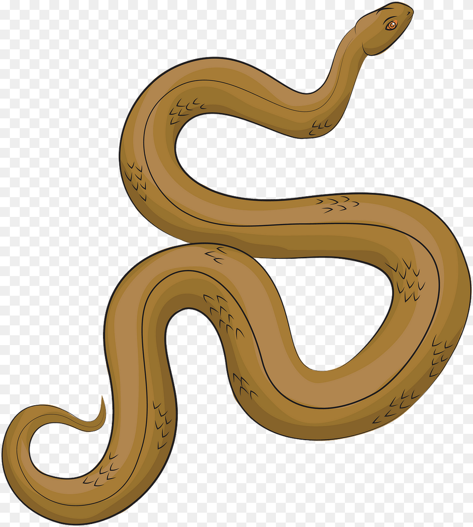 Boa, Animal, Reptile, Snake, Smoke Pipe Png