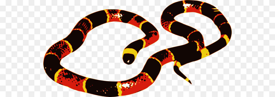 Boa Constrictor Snakes Reptile Tropidophis Melanurus Animal, King Snake, Snake, Person Free Png Download