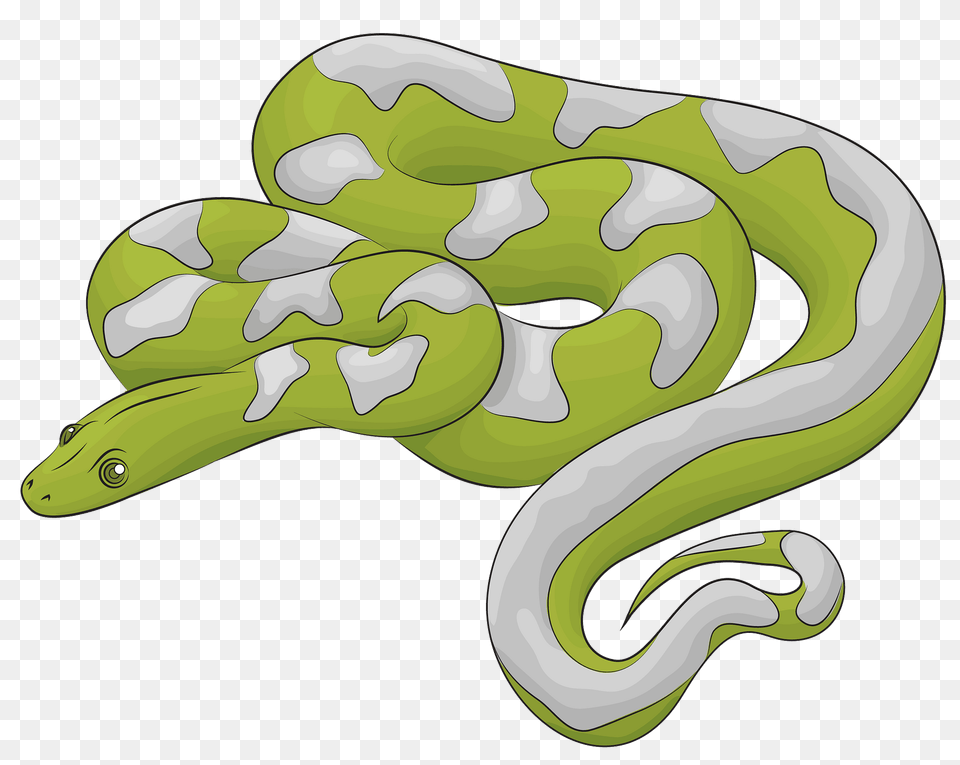 Boa Snake Clipart, Animal, Reptile, Fish, Sea Life Free Png