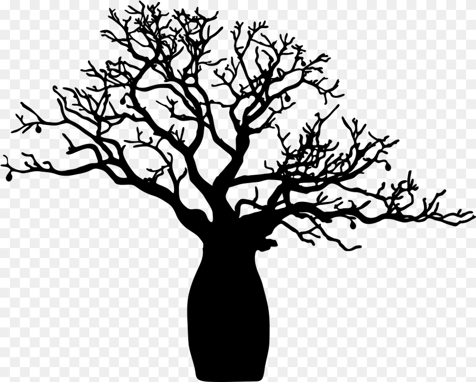Boab Wedding Bell Free Boab Tree Black And White, Lighting Png Image