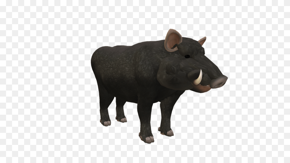 Boar, Animal, Mammal, Pig, Hog Free Transparent Png