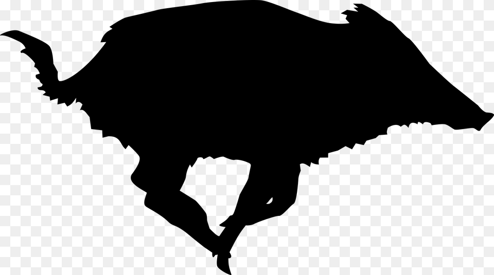 Boar, Gray Png Image