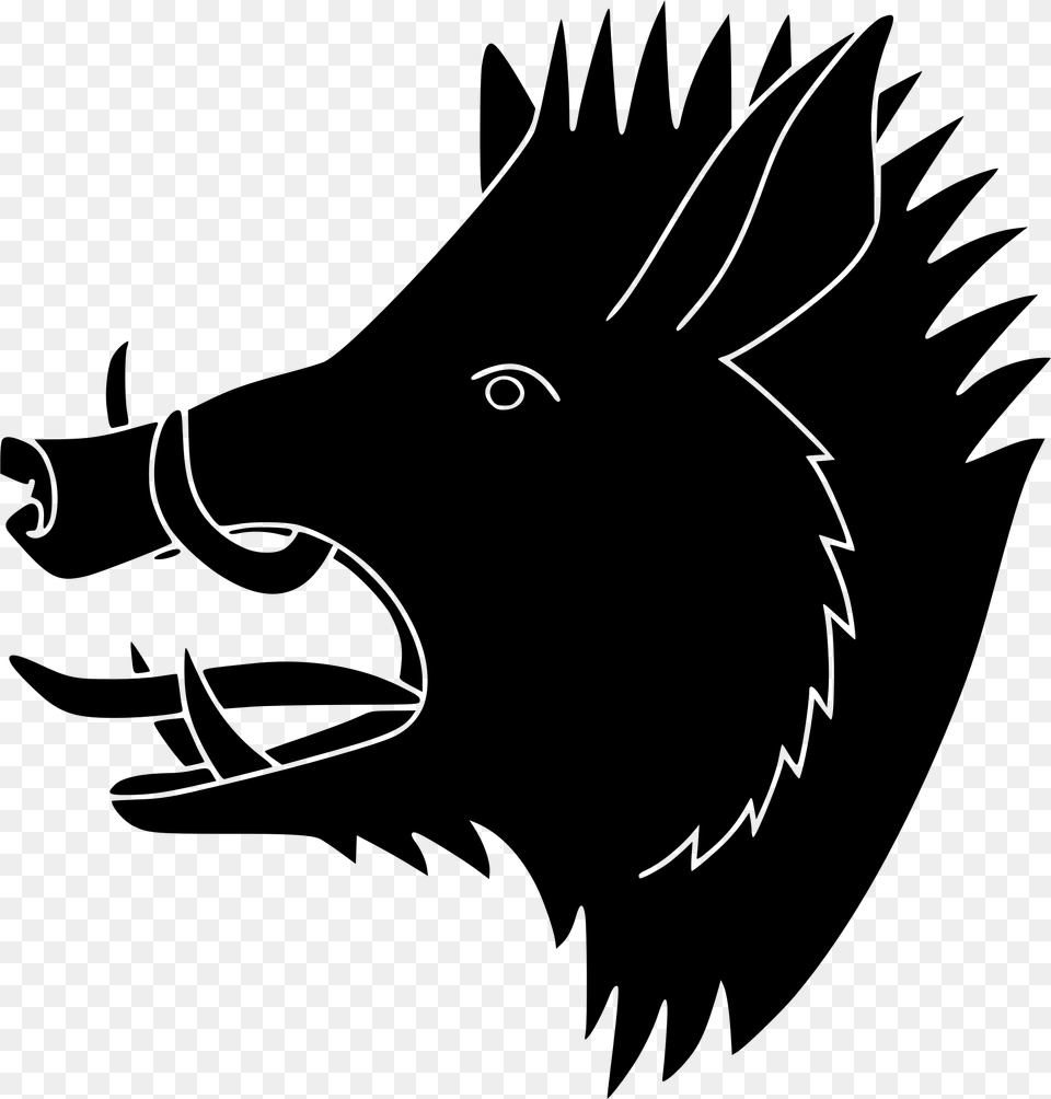Boar, Gray Free Transparent Png