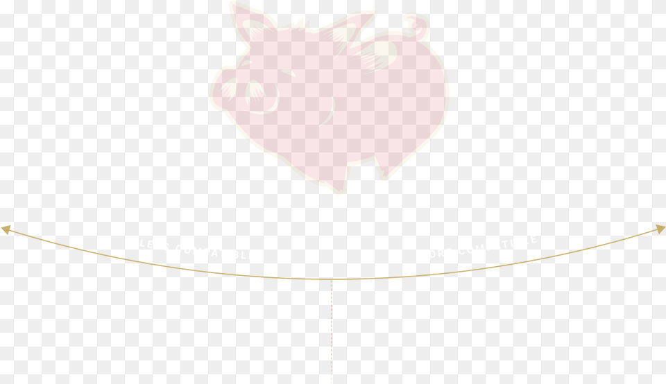 Boar, Animal, Cat, Mammal, Pet Free Png Download