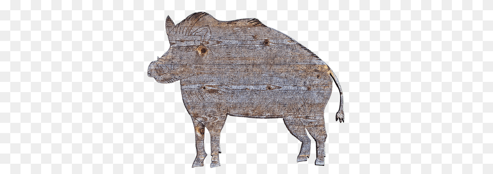 Boar Animal, Hog, Mammal, Pig Png