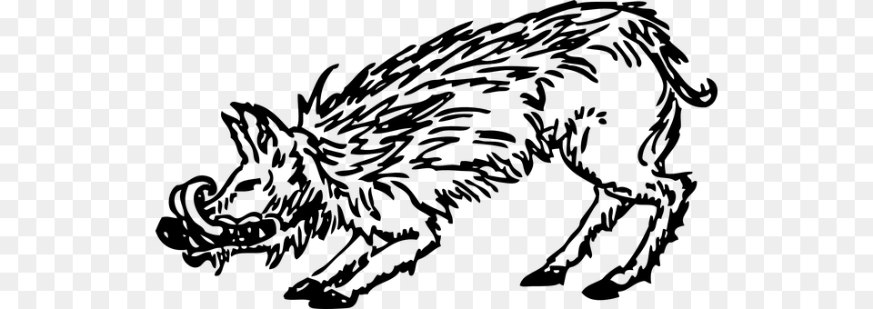 Boar Gray Free Transparent Png