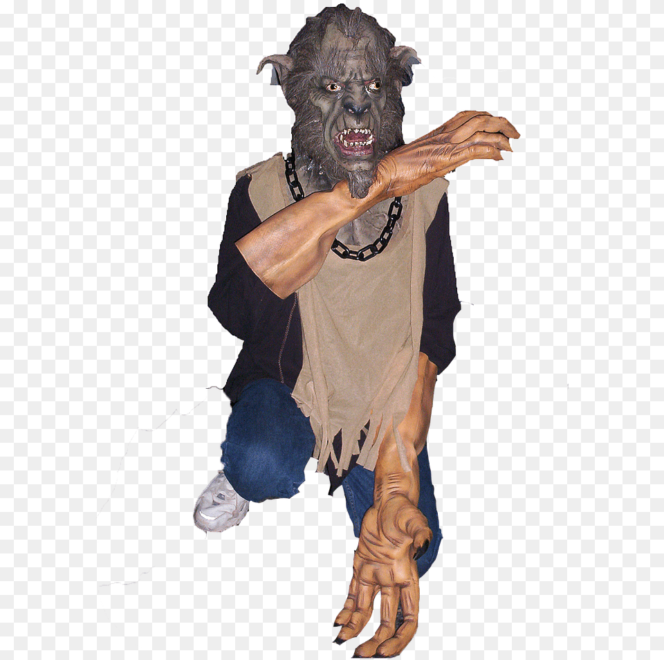 Boar, Adult, Man, Male, Person Png Image
