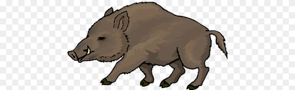 Boar Drawing, Animal, Hog, Mammal, Pig Free Png Download