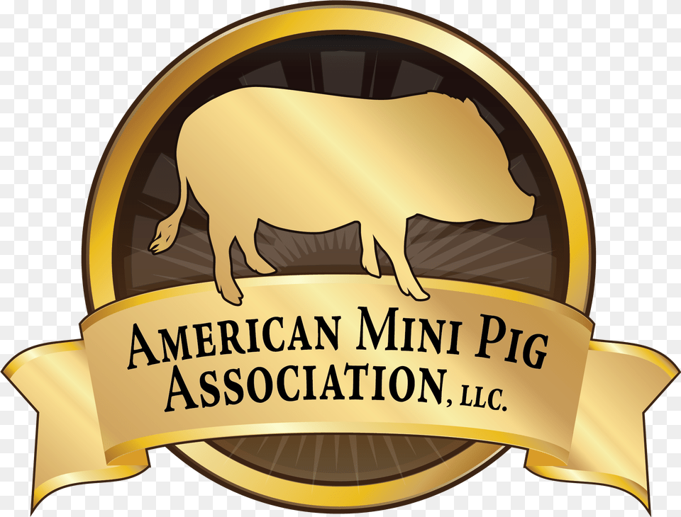 Boar Hog Vector Angry Pig Baby Mini Pig Transparent Logo De Cerdito Con Olla, Badge, Symbol, Animal, Lion Free Png Download