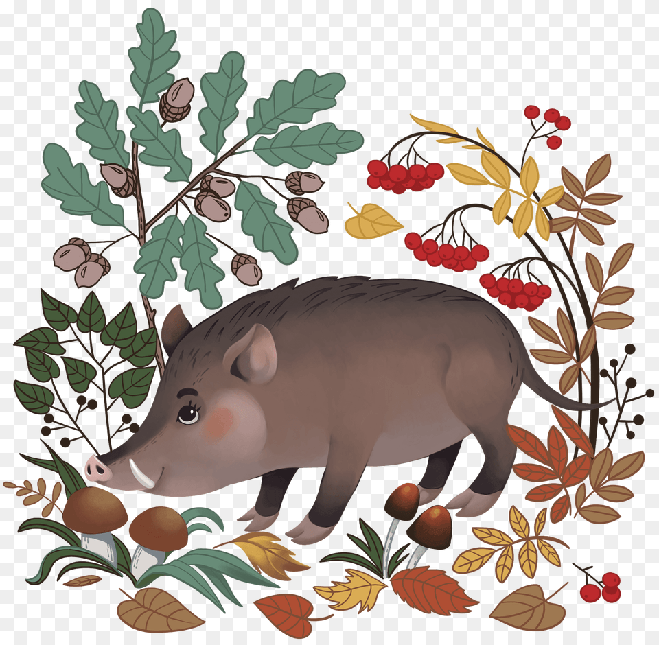 Boar In The Forest Clipart, Animal, Hog, Mammal, Pig Free Transparent Png