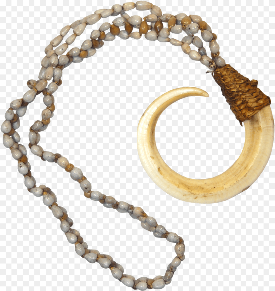 Boar Tusk Necklace, Electronics, Hardware, Accessories, Jewelry Png Image
