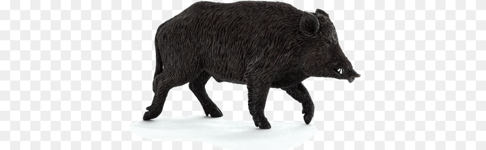 Boar Wild Boar, Animal, Hog, Mammal, Pig Free Png Download