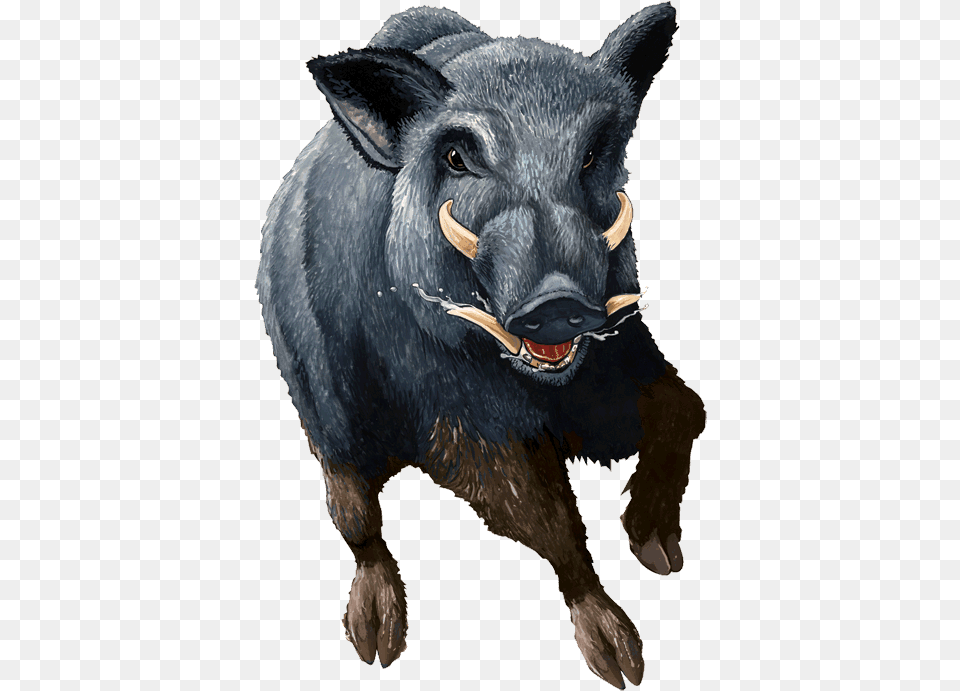 Boar Wild Hog Background, Animal, Mammal, Pig, Wildlife Free Png Download
