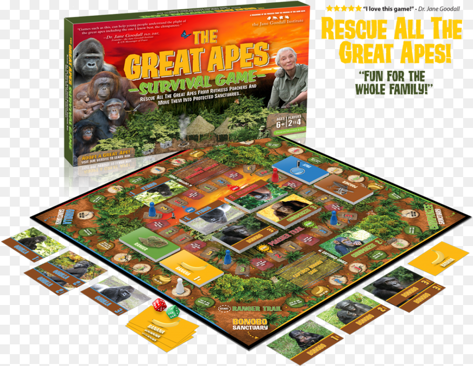 Board Game Survival Board Games, Person, Advertisement, Poster, Animal Free Png