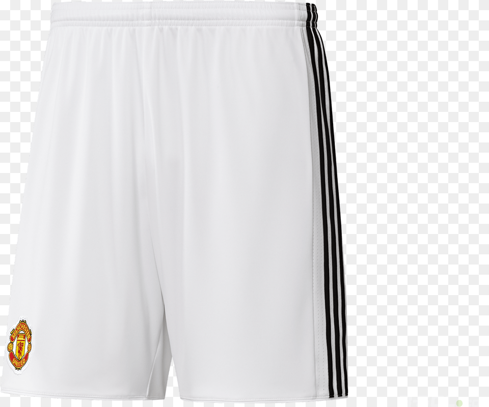 Board Short, Clothing, Shorts Free Png