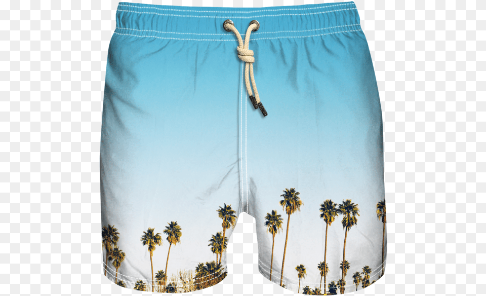 Board Short, Clothing, Shorts, Swimming Trunks, Beachwear Png Image
