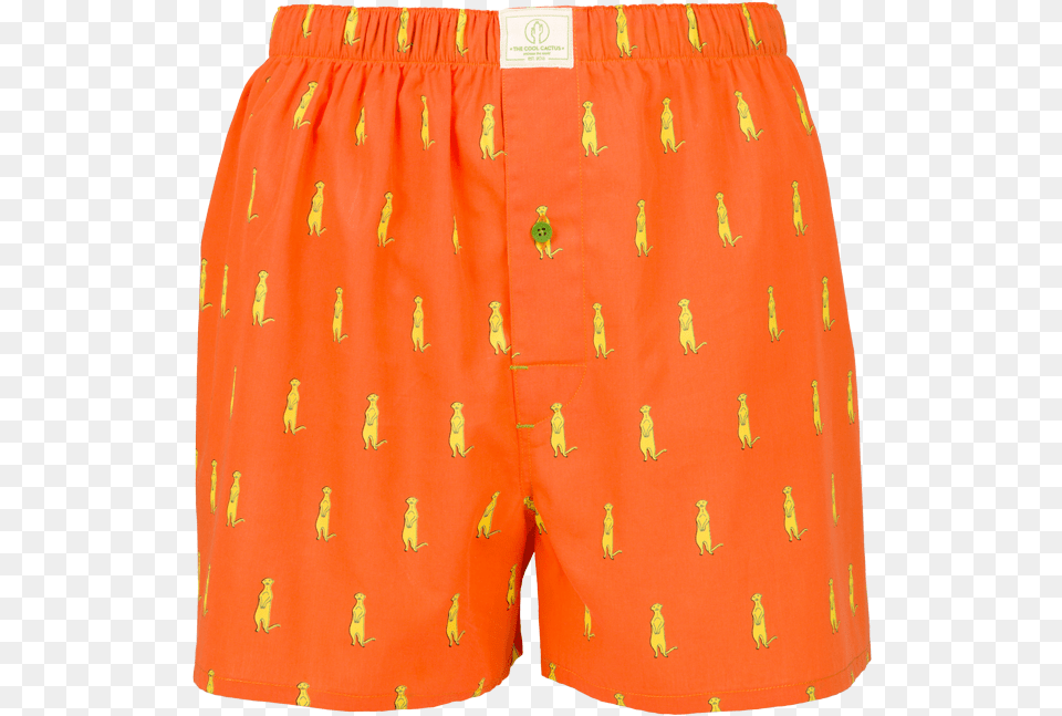 Board Short, Clothing, Shorts, Swimming Trunks, Person Png