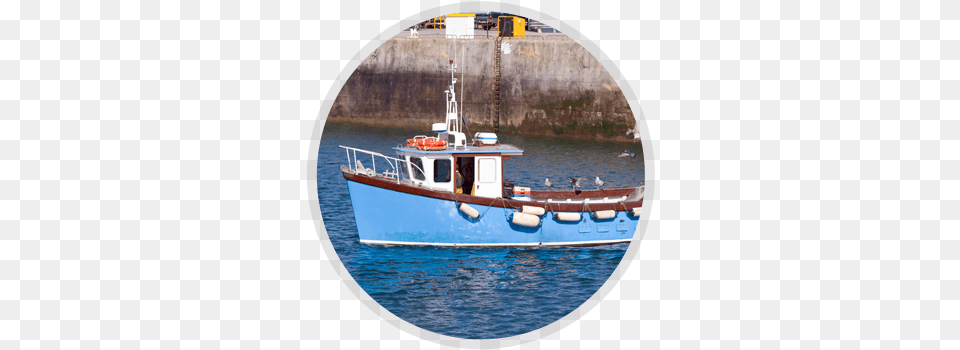 Boat, Sailboat, Vehicle, Transportation, Animal Png Image