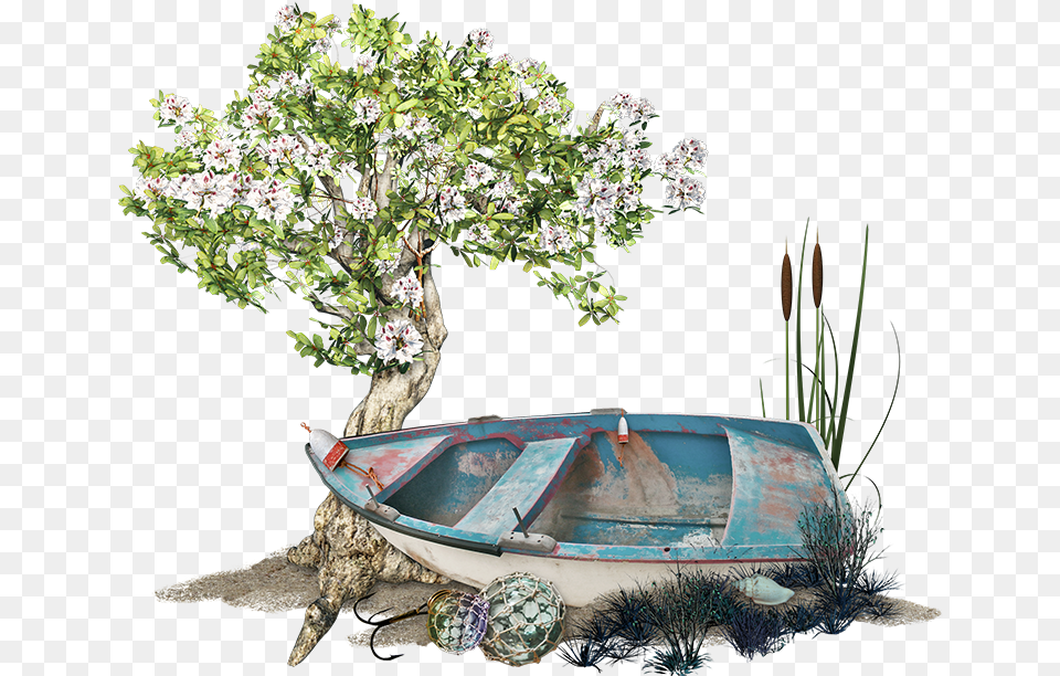 Boat At Shore Tube Barque, Potted Plant, Flower, Flower Arrangement, Plant Png