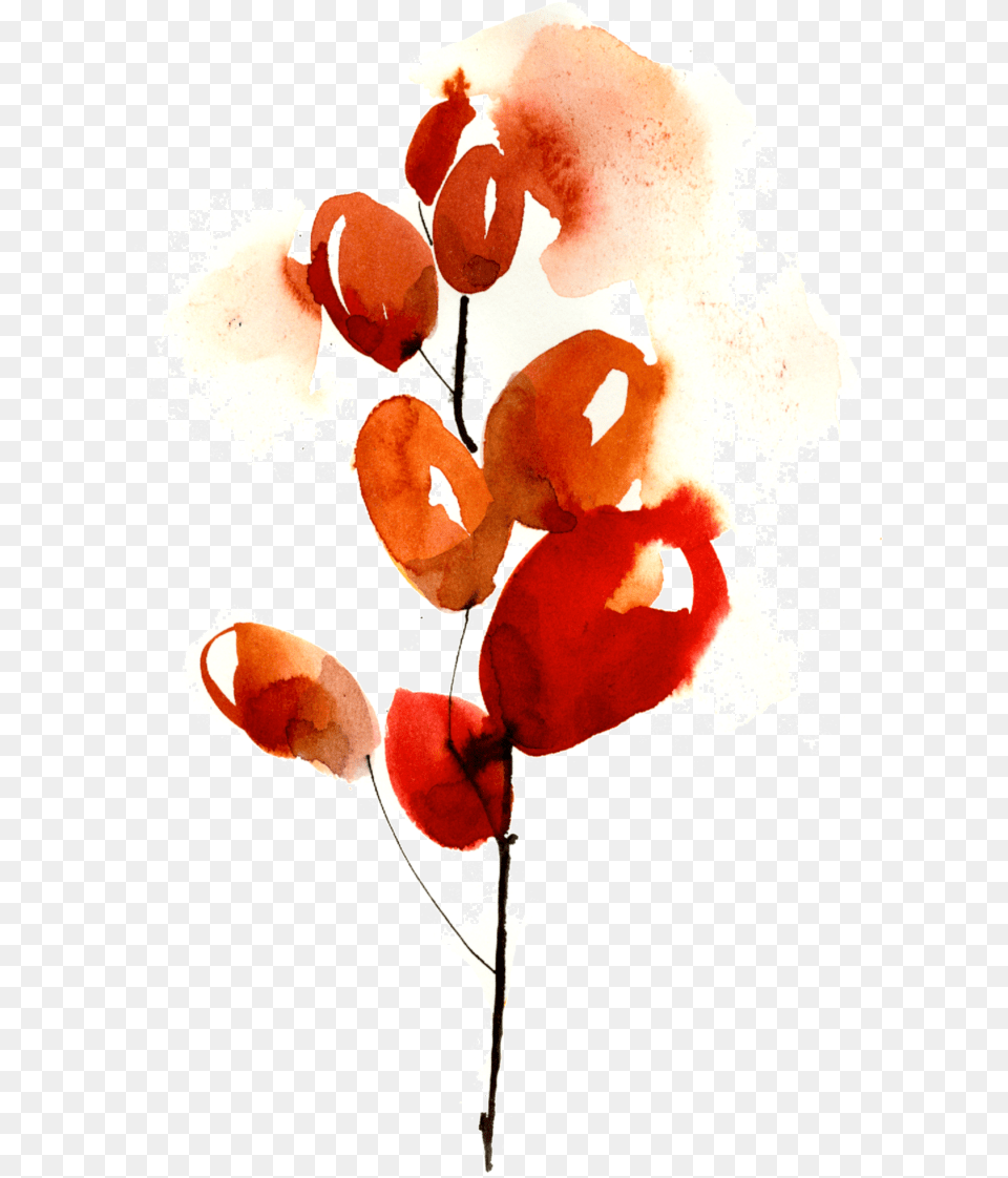 Bob Cherries Watercolor Painting, Flower, Petal, Plant, Person Png Image