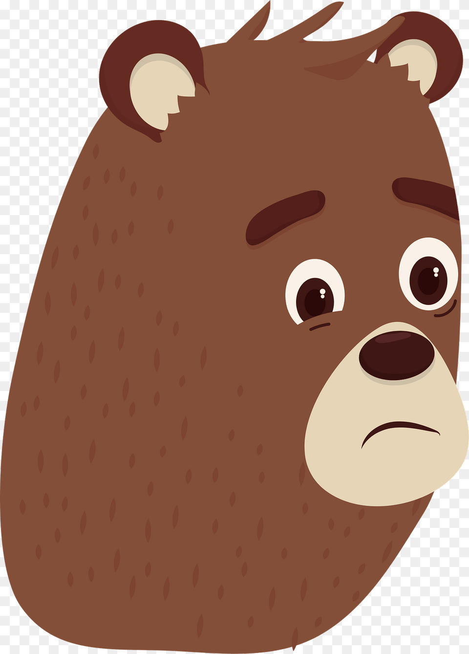 Bobby Bear Head Clipart, Snout, Face, Person, Baby Png