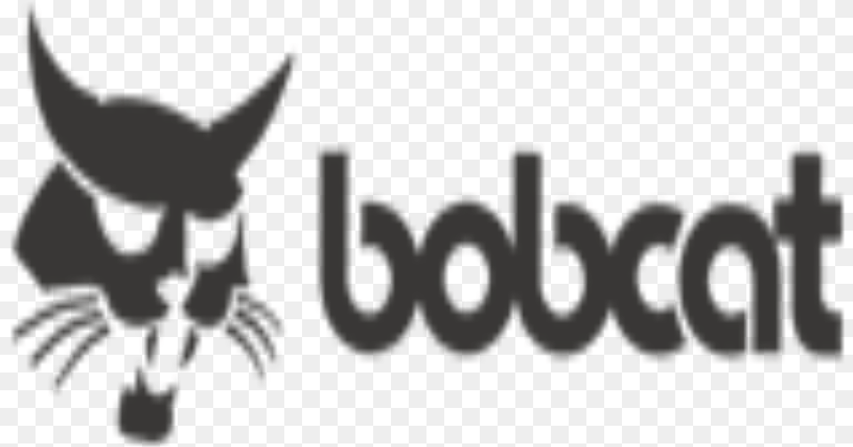 Bobcat, Accessories, Art, Baby, Person Png