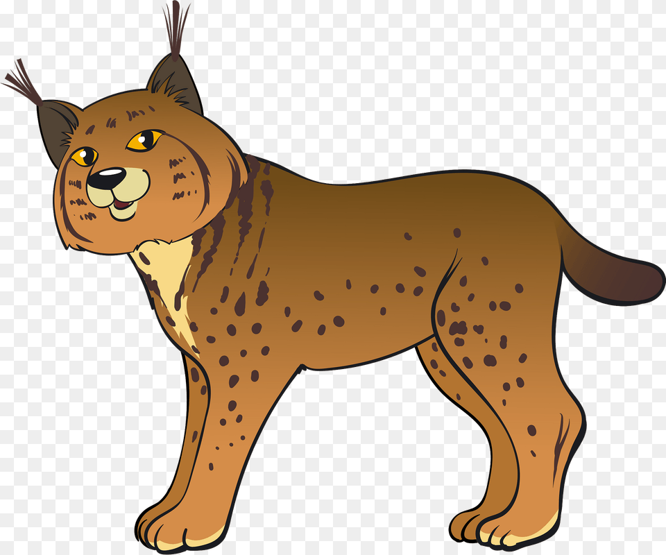 Bobcat Clipart, Animal, Mammal, Wildlife, Kangaroo Png