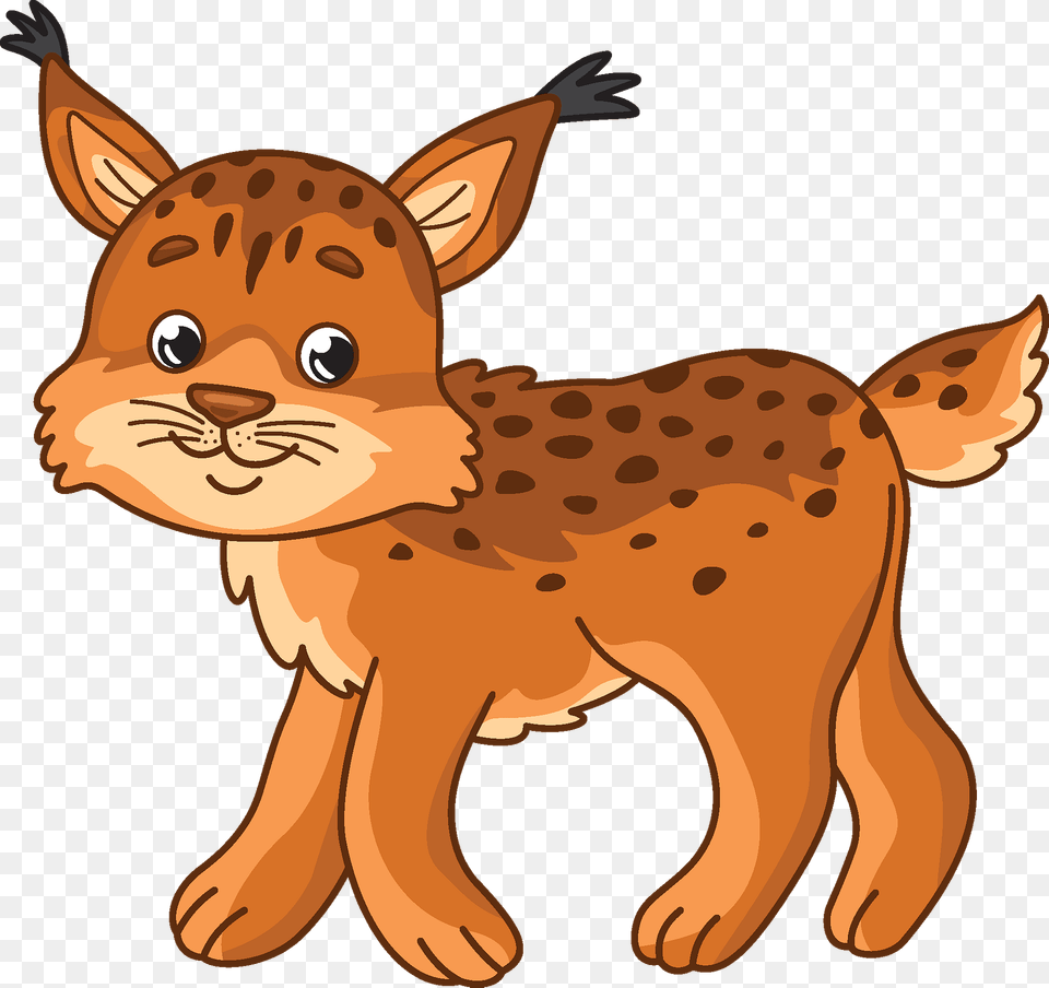 Bobcat Clipart, Animal, Deer, Mammal, Wildlife Free Png