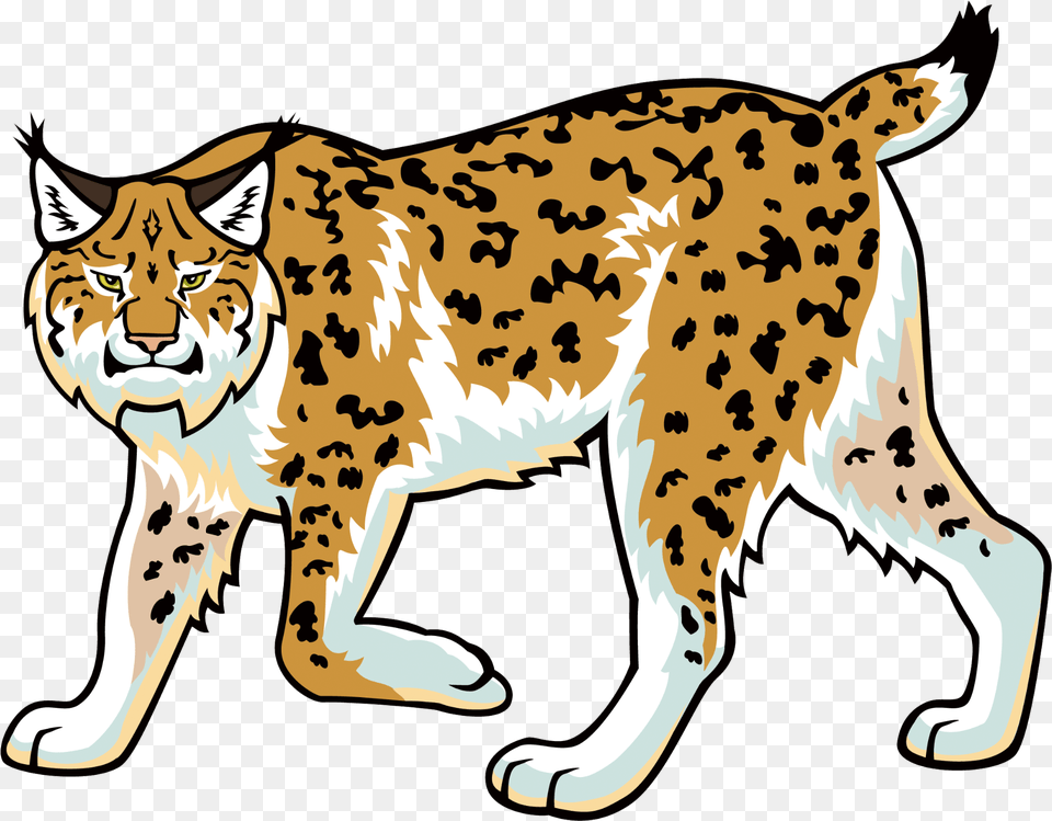 Bobcat Heavy Equipment Clip Art Bobcat Clipart Transparent Background, Animal, Mammal, Wildlife, Lynx Free Png Download