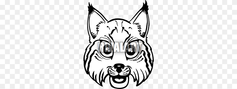Bobcat Mascot Clip Art Clipart, Face, Head, Person, Animal Png Image