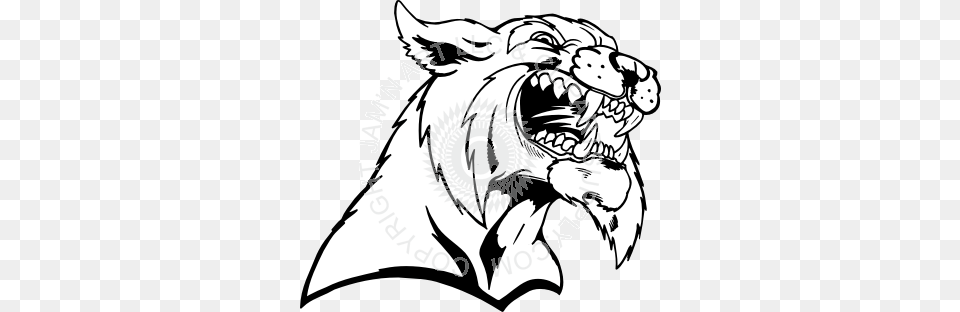 Bobcat Prowling, Teeth, Body Part, Person, Mouth Free Png Download