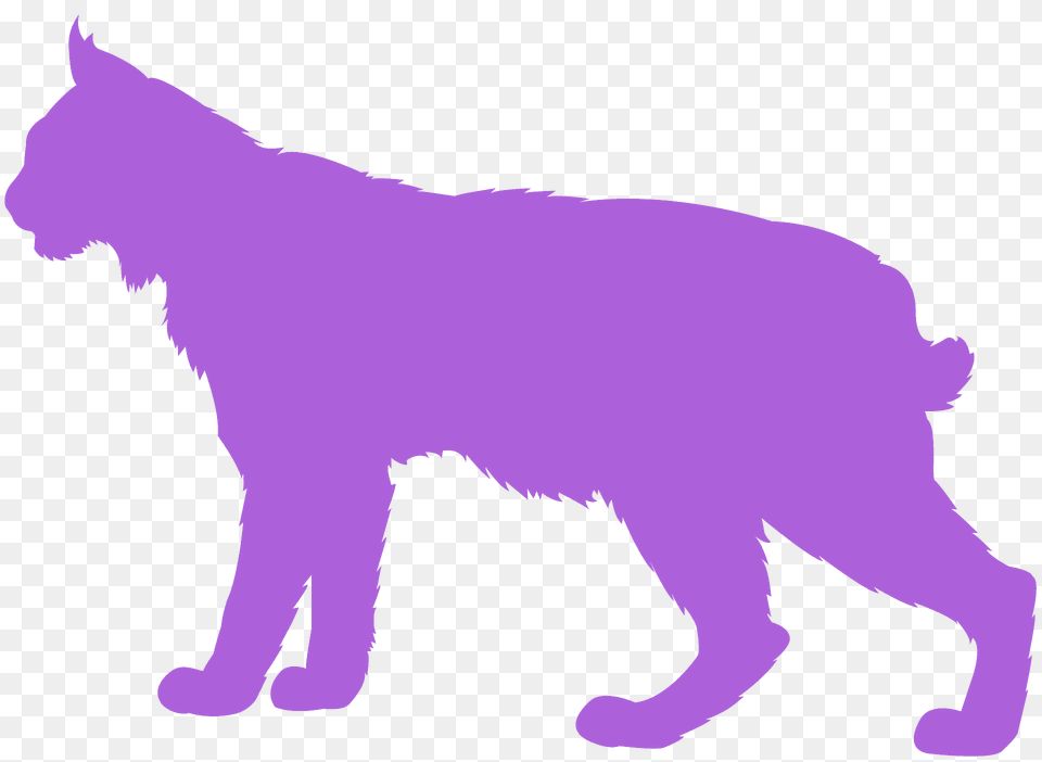 Bobcat Silhouette, Animal, Mammal, Wolf, Kangaroo Free Png