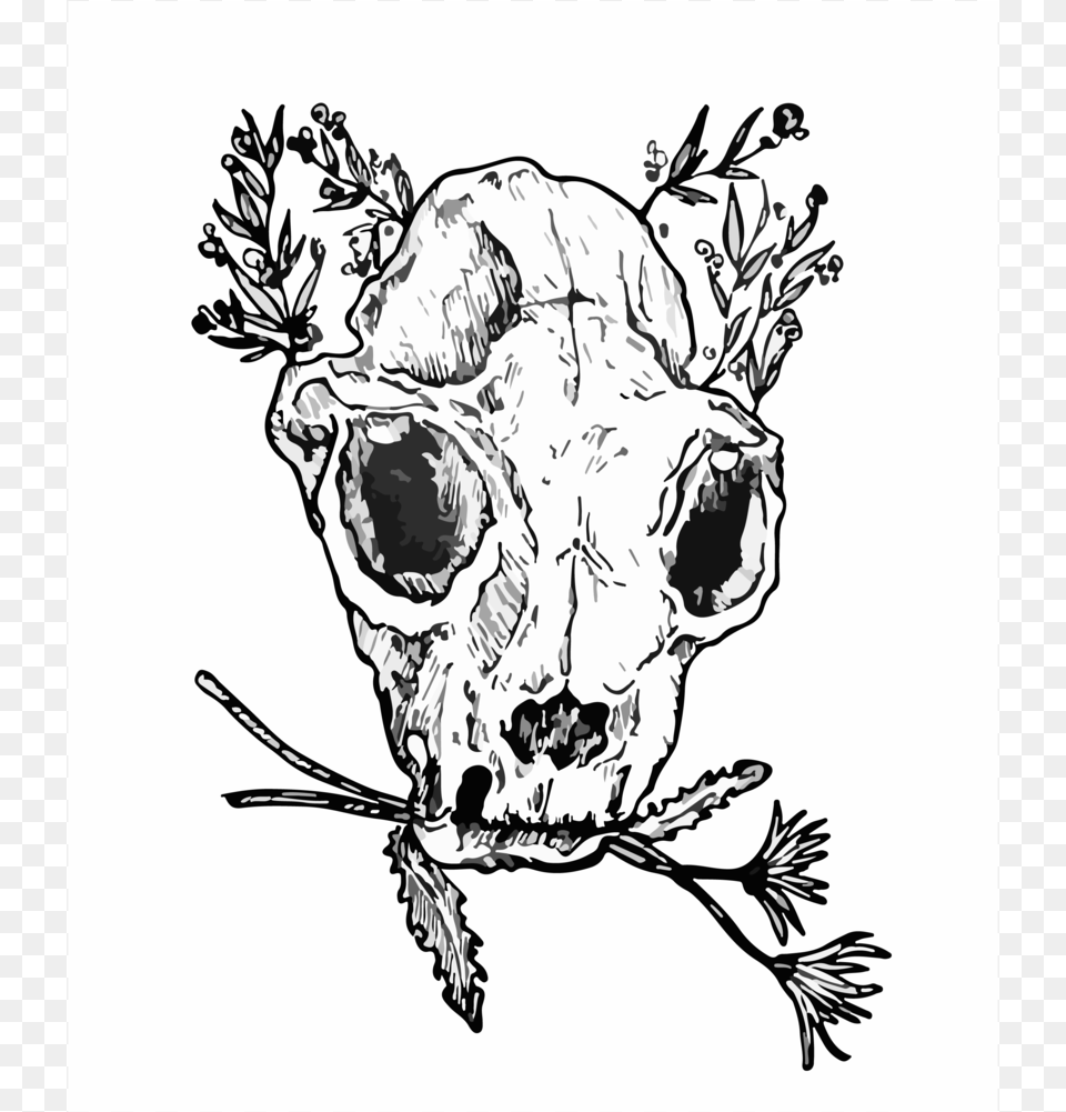Bobcat Skull, Art, Drawing, Doodle, Stencil Png Image