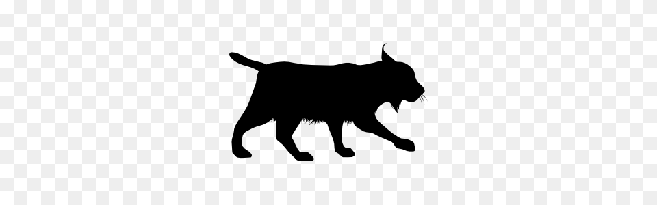 Bobcat Stalking Sticker, Silhouette, Animal, Mammal, Pig Free Png