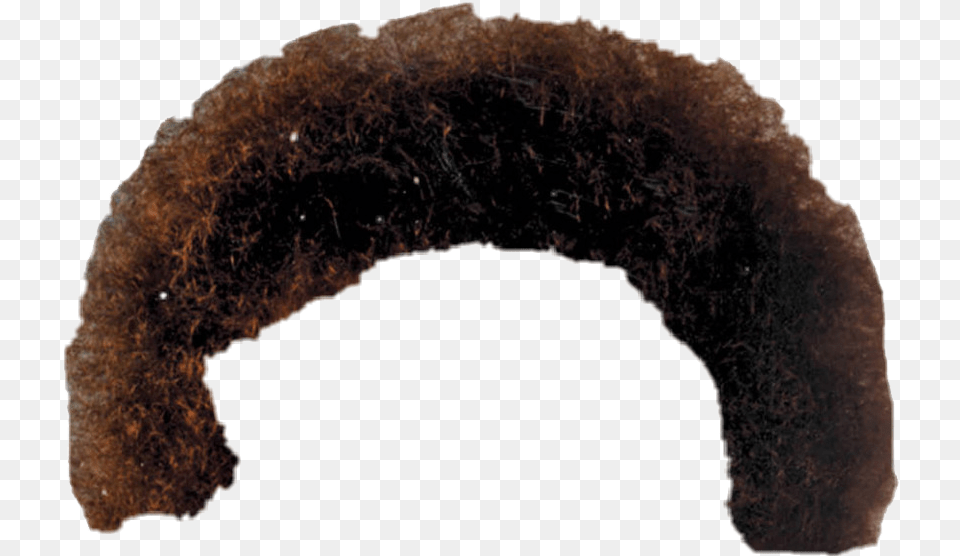 Bobross Afro Sticker By Green Mustache Man Curly, Animal, Bear, Mammal, Wildlife Png