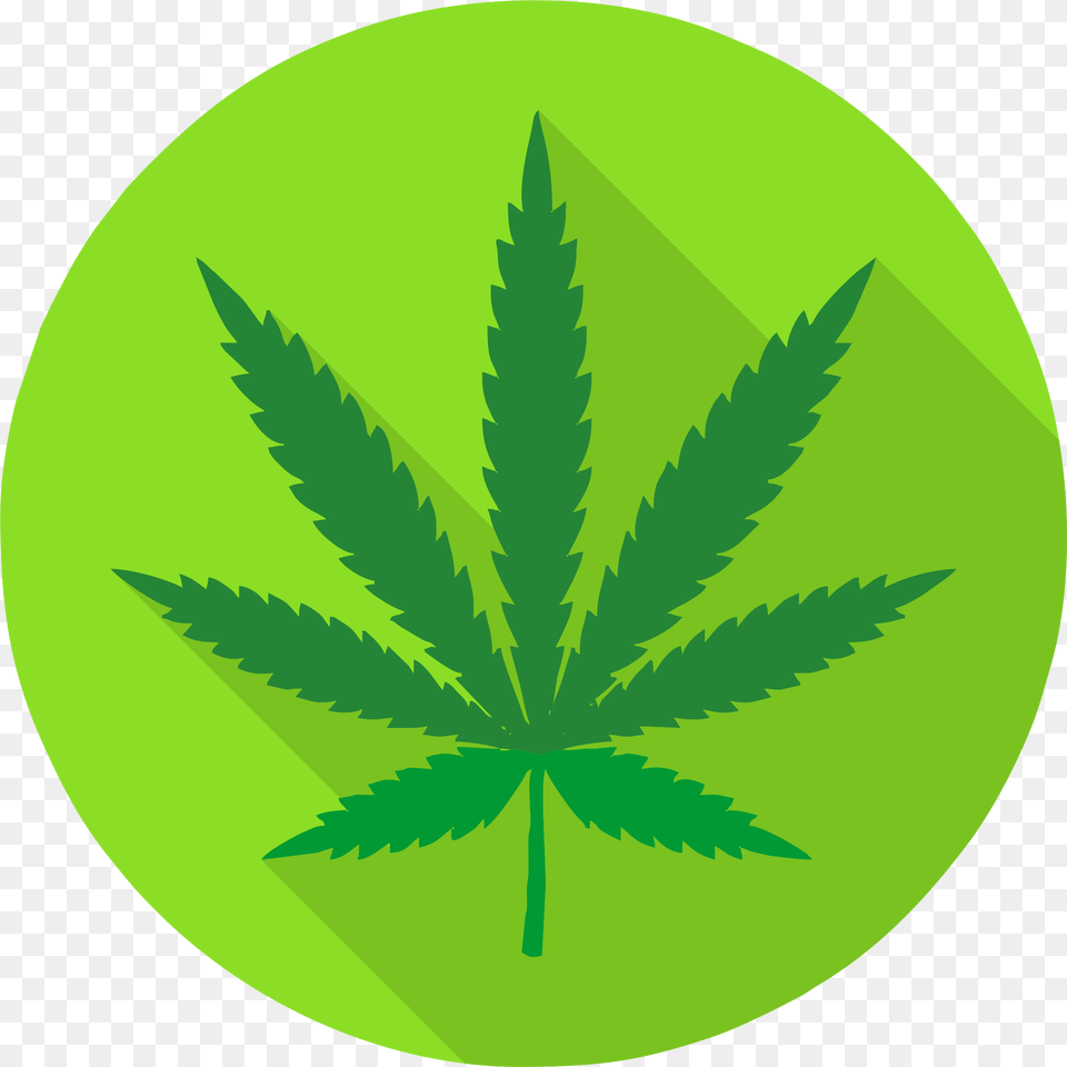 Boca Recovery Center Get Sober Today Addiction Transparent Background Pot Leaf, Green, Plant, Weed, Herbal Png