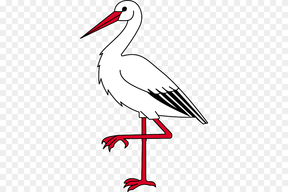 Bocian Ovi Birds Clip Art And Bird Template, Animal, Stork, Waterfowl, Fish Png Image