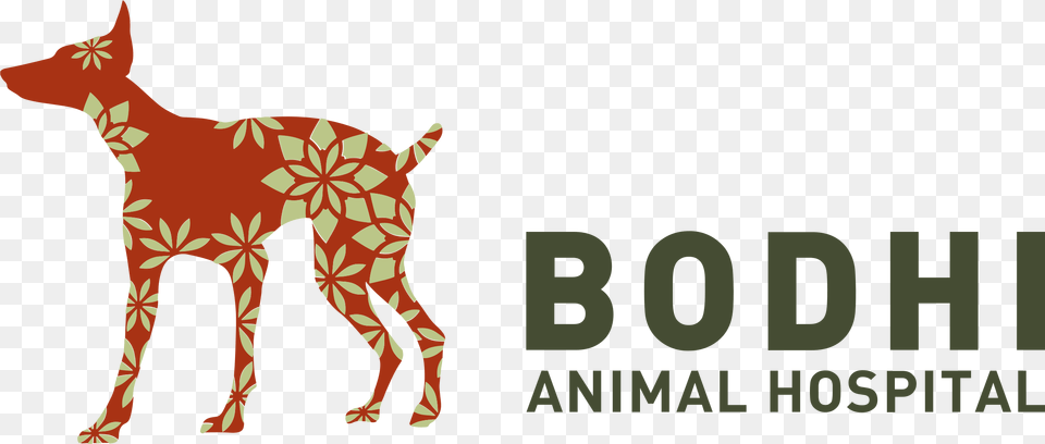 Bodhi Animal Hospital Logo Bodhi Vet, Deer, Mammal, Wildlife, Adult Free Transparent Png