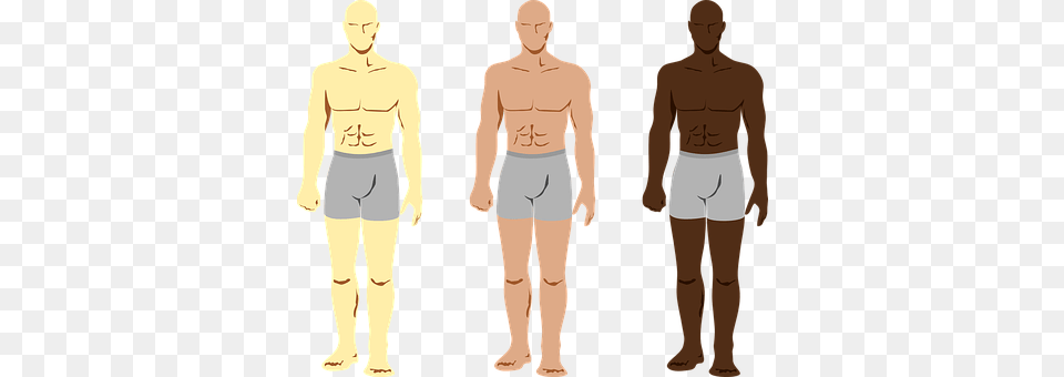 Body Shorts, Chart, Clothing, Plot Png Image