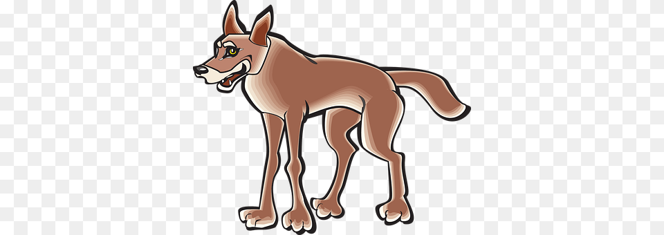 Body Animal, Coyote, Mammal, Canine Free Png Download
