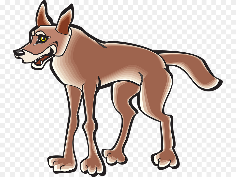 Body Animal Tail Coyote Coyote Cartoon Clipart, Mammal, Canine, Red Wolf, Wolf Free Png Download