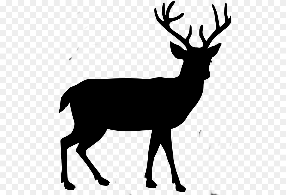 Body Buck Transparent Background Deer Silhouette, Gray Free Png