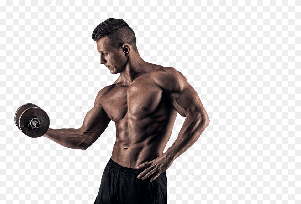 Body Builder Bodybuilder In, Back, Body Part, Person, Adult Free Transparent Png