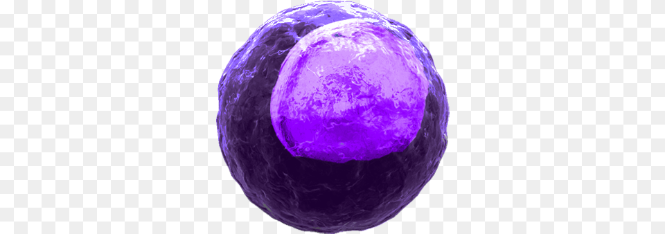 Body Cell Transparent Macrophages Transparent, Purple, Sphere, Astronomy, Moon Png Image