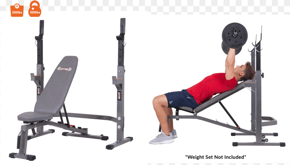Body Champ Weight Bench, Adult, Person, Man, Male Png